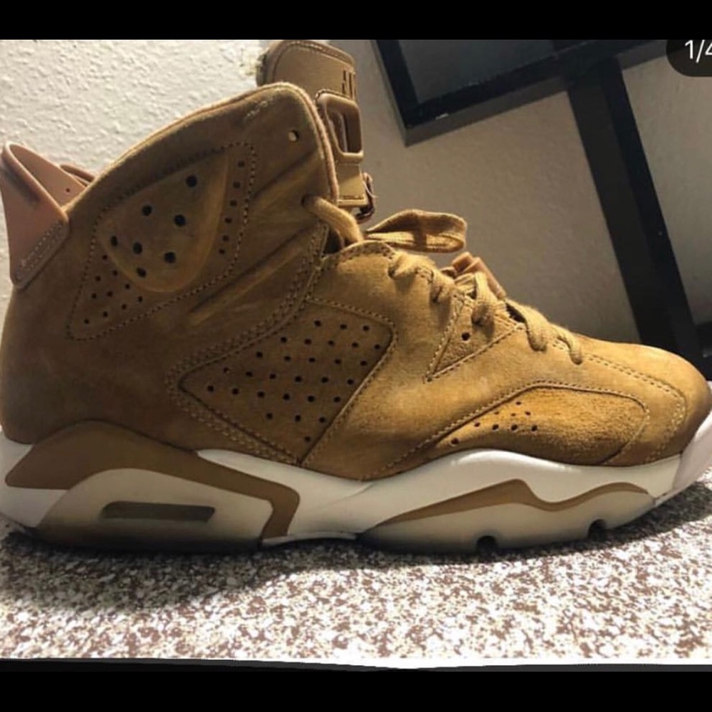 Jordan 6s